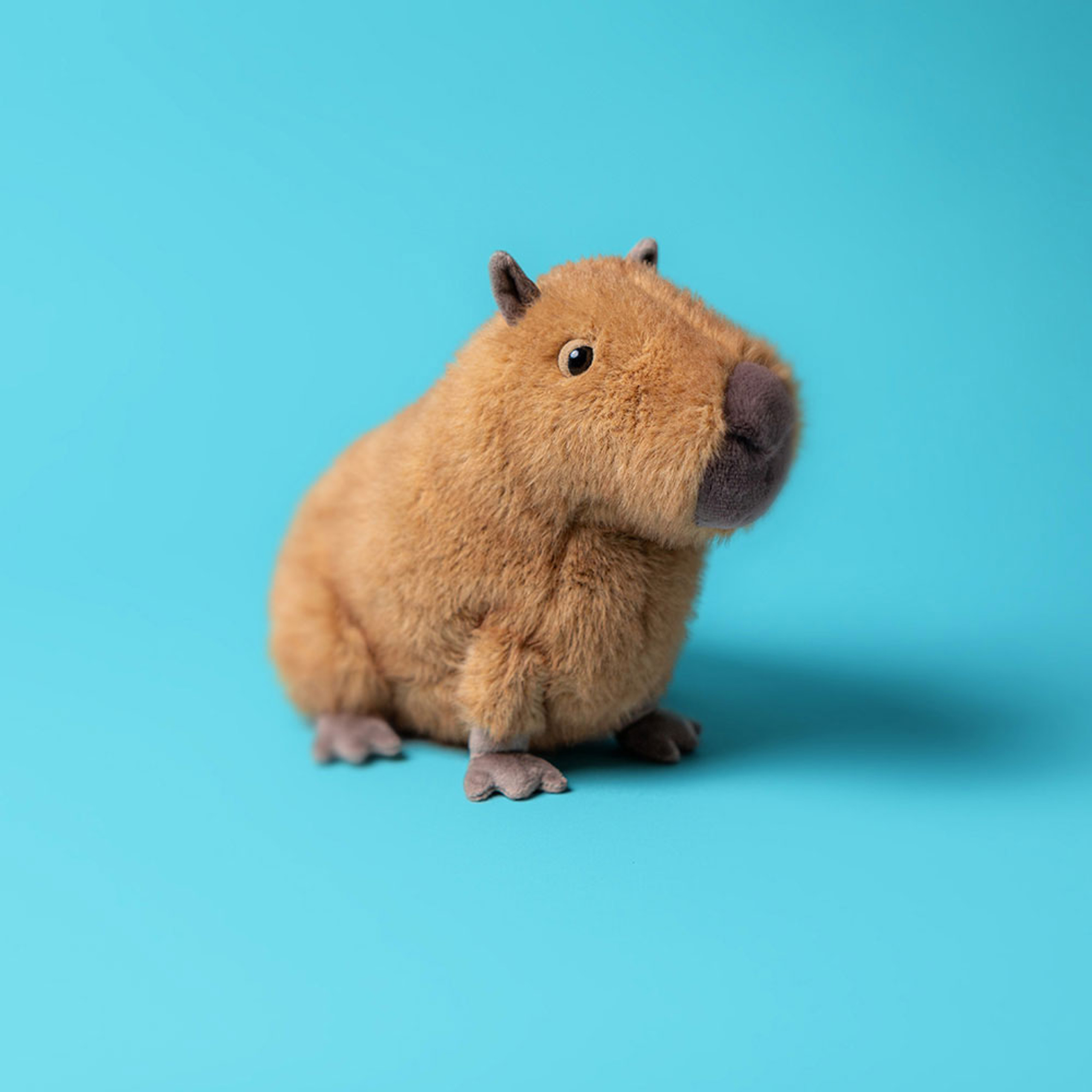 Clyde Capybara - Image 2